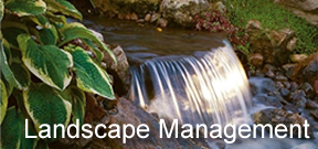 Landscape Management